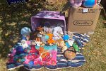 Sale Photo Thumbnail #8
