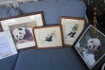 Sale Photo Thumbnail #21