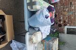 Sale Photo Thumbnail #6