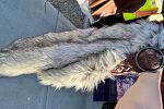 Sale Photo Thumbnail #13