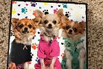 Sale Photo Thumbnail #29