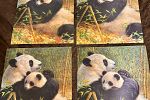 Sale Photo Thumbnail #13