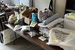 Sale Photo Thumbnail #2