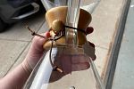 Sale Photo Thumbnail #25