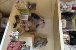 Sale Photo Thumbnail #21