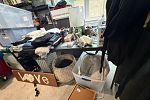 Sale Photo Thumbnail #6
