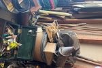 Sale Photo Thumbnail #15