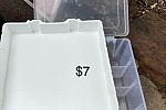 Sale Photo Thumbnail #17