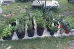 Sale Photo Thumbnail #10
