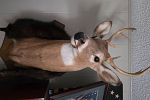 Sale Photo Thumbnail #25