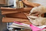 Sale Photo Thumbnail #9