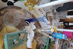 Sale Photo Thumbnail #14