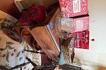 Sale Photo Thumbnail #11
