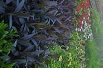 Sale Photo Thumbnail #17