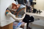 Sale Photo Thumbnail #24