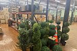 Sale Photo Thumbnail #5
