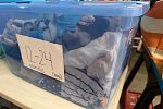 Sale Photo Thumbnail #12