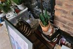 Sale Photo Thumbnail #37