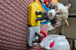 Sale Photo Thumbnail #42
