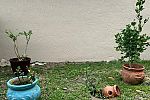 Sale Photo Thumbnail #18