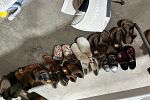 Sale Photo Thumbnail #1