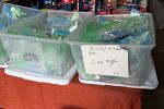 Sale Photo Thumbnail #16