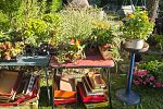 Sale Photo Thumbnail #22