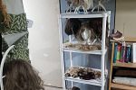 Sale Photo Thumbnail #6