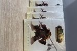 Sale Photo Thumbnail #40