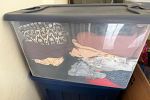 Sale Photo Thumbnail #2