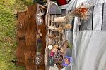 Sale Photo Thumbnail #20