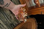 Sale Photo Thumbnail #5