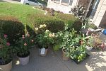 Sale Photo Thumbnail #18