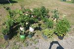 Sale Photo Thumbnail #15