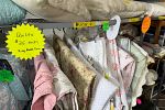 Sale Photo Thumbnail #9