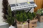 Sale Photo Thumbnail #2