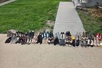 Sale Photo Thumbnail #18