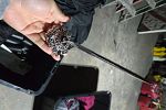 Sale Photo Thumbnail #12