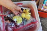 Sale Photo Thumbnail #15