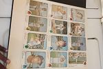 Sale Photo Thumbnail #17