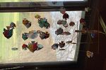Sale Photo Thumbnail #51