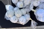 Sale Photo Thumbnail #20