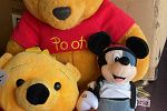 Sale Photo Thumbnail #10