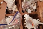 Sale Photo Thumbnail #30