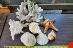 Sale Photo Thumbnail #34