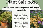Sale Photo Thumbnail #2