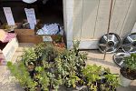 Sale Photo Thumbnail #26