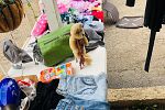 Sale Photo Thumbnail #24