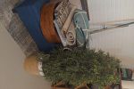 Sale Photo Thumbnail #26