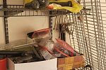 Sale Photo Thumbnail #20